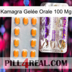 Kamagra Gelée Orale 100 Mg new12
